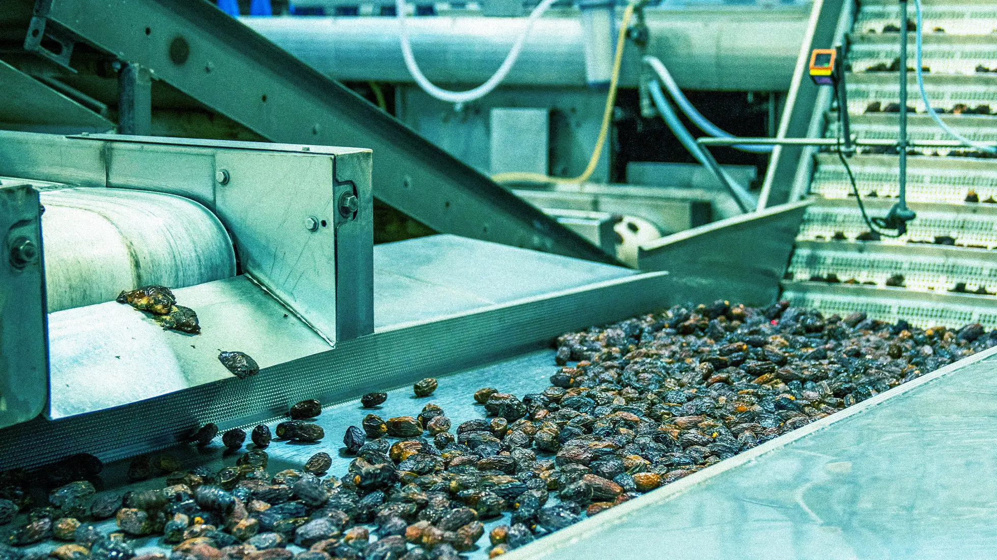 JMTEC - Przenośniki taśmowe – wszechstronność i niezawodność
